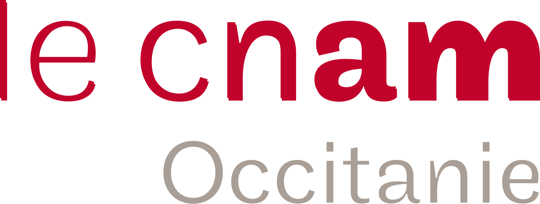 cnam occitanie