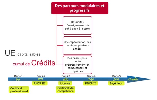 Schéma UE parcours modulaire